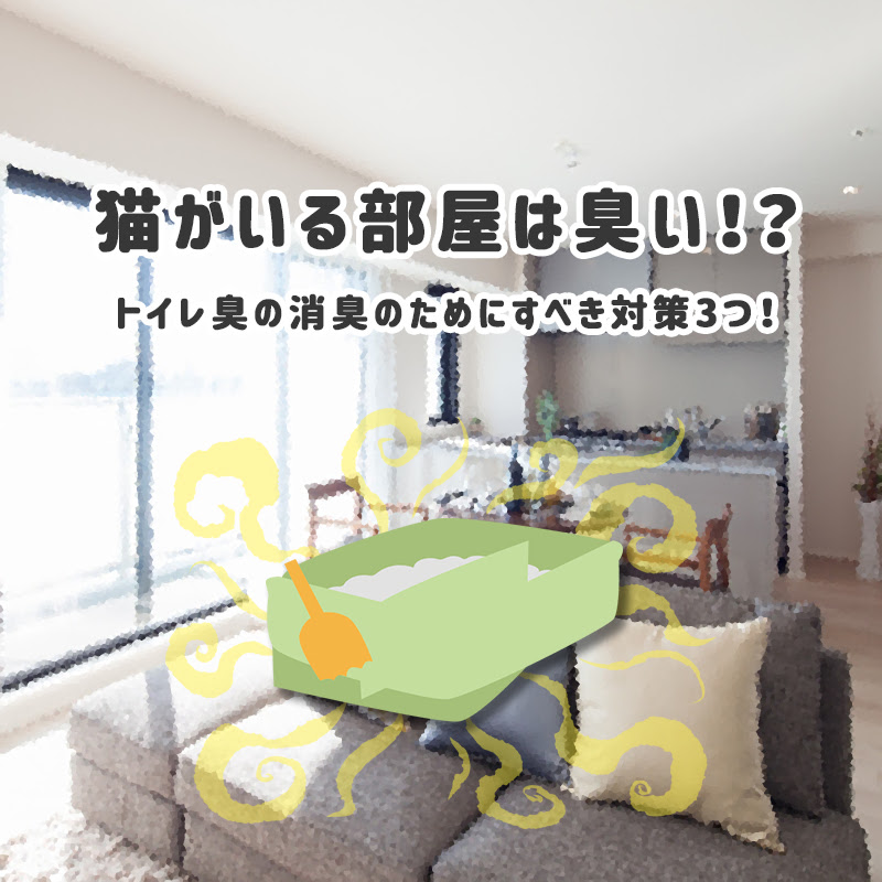 猫がいる部屋は臭い トイレ臭の消臭のためにすべき対策3つ