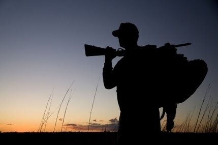 Become a sales hunter for the best career opportunities | VENTE 2.0  &  MARKETING DIGITAL | Scoop.it