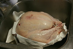 Prisoner turkey