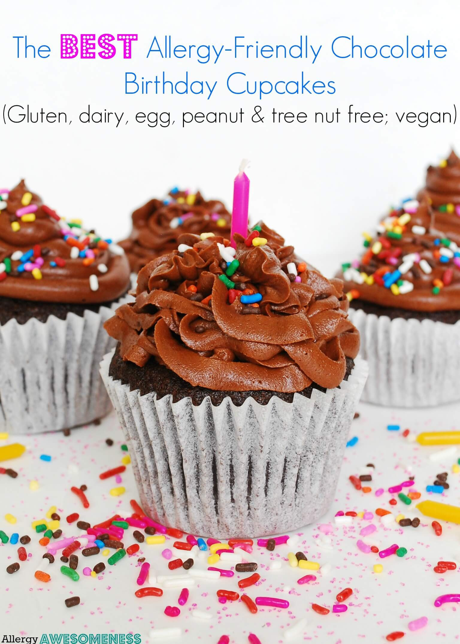 The BEST Allergy-friendly Chocolate Birthday Cupcakes ...
