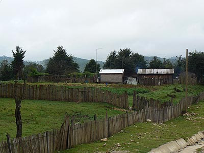 palissades du Chiapas.jpg