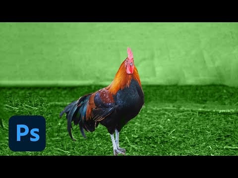 Inilah New Features for Photoshop s Content Aware Fill, paling populer!