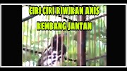 Trend Terpopuler Ciri Ciri Kembang Pekak