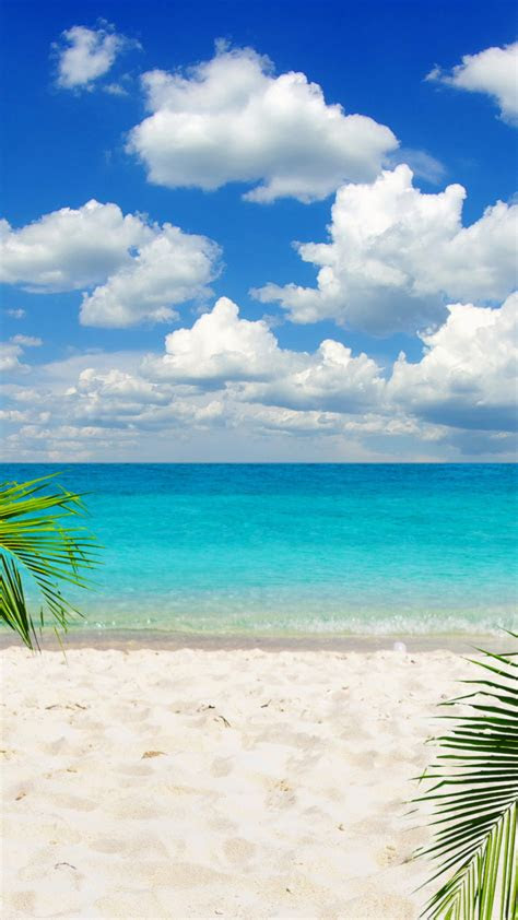 The iphone 12 also supports wireless charging. 4000+ HD Wallpapers for Android Smartphones & iPhones {Free}