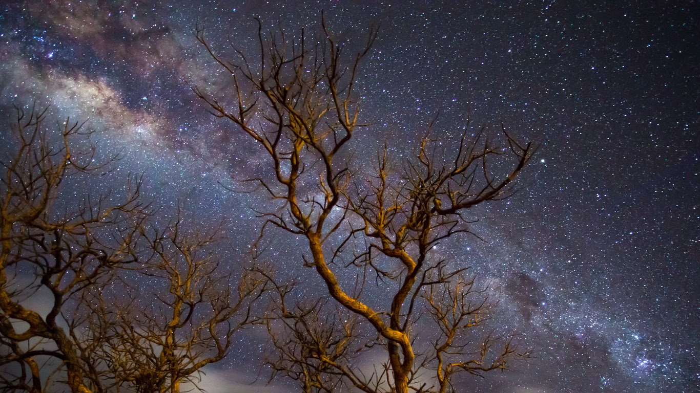1366x768 Milky Way Galaxy Tree Dark 4k 1366x768 Resolution Hd 4k