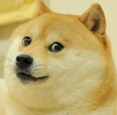doge! | Tacky Harper's Cryptic Clues
