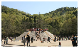 宝が池公園 子どもの楽園 京都市都市緑化協会