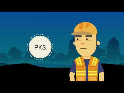 PENGELOLAAN LINGKUNGAN HIDUP BIDANG JALAN DI KAWASAN HUTAN