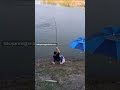 Sambaran Ikan yang Terlalu Besar