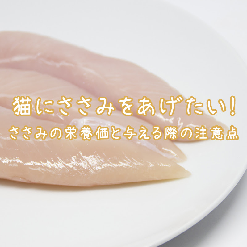 愛猫にささみをあげても大丈夫 栄養価や与える時の注意点について