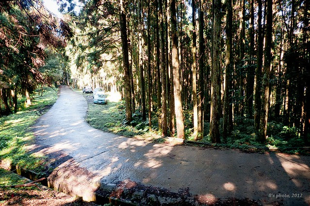 油羅山登山口