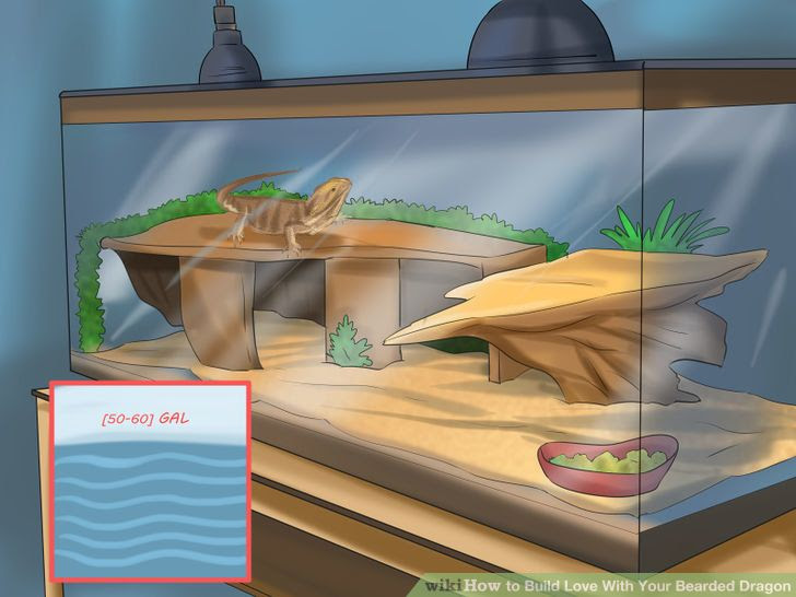 Build Love With Your Bearded Dragon Step 2 Version 2.jpg