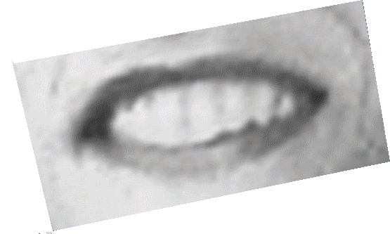Un sourire de Frank Irving Fletcher - Le jardin de mes étoiles