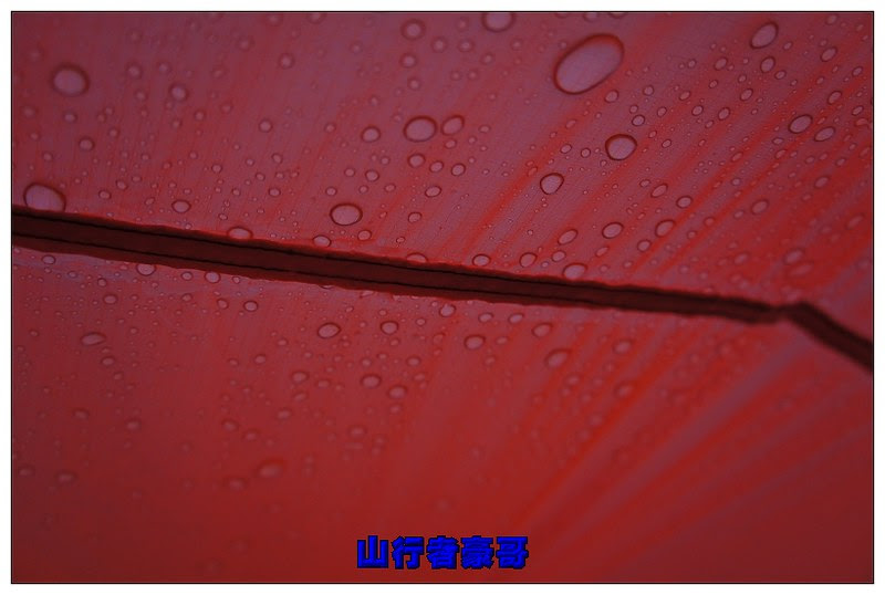DSC07036