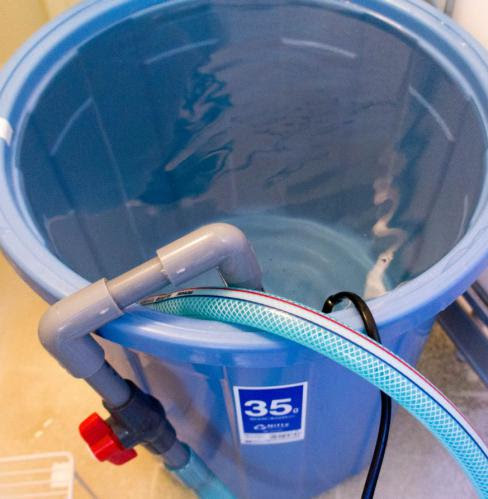 水換えについて Zeo水槽日記