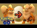 コレクション ポケモン go ���ィンディ 254872-ポケモン go ウインディ
