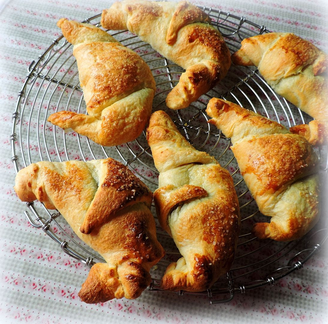  photo DSCN5825_zps5szrwwor.jpg