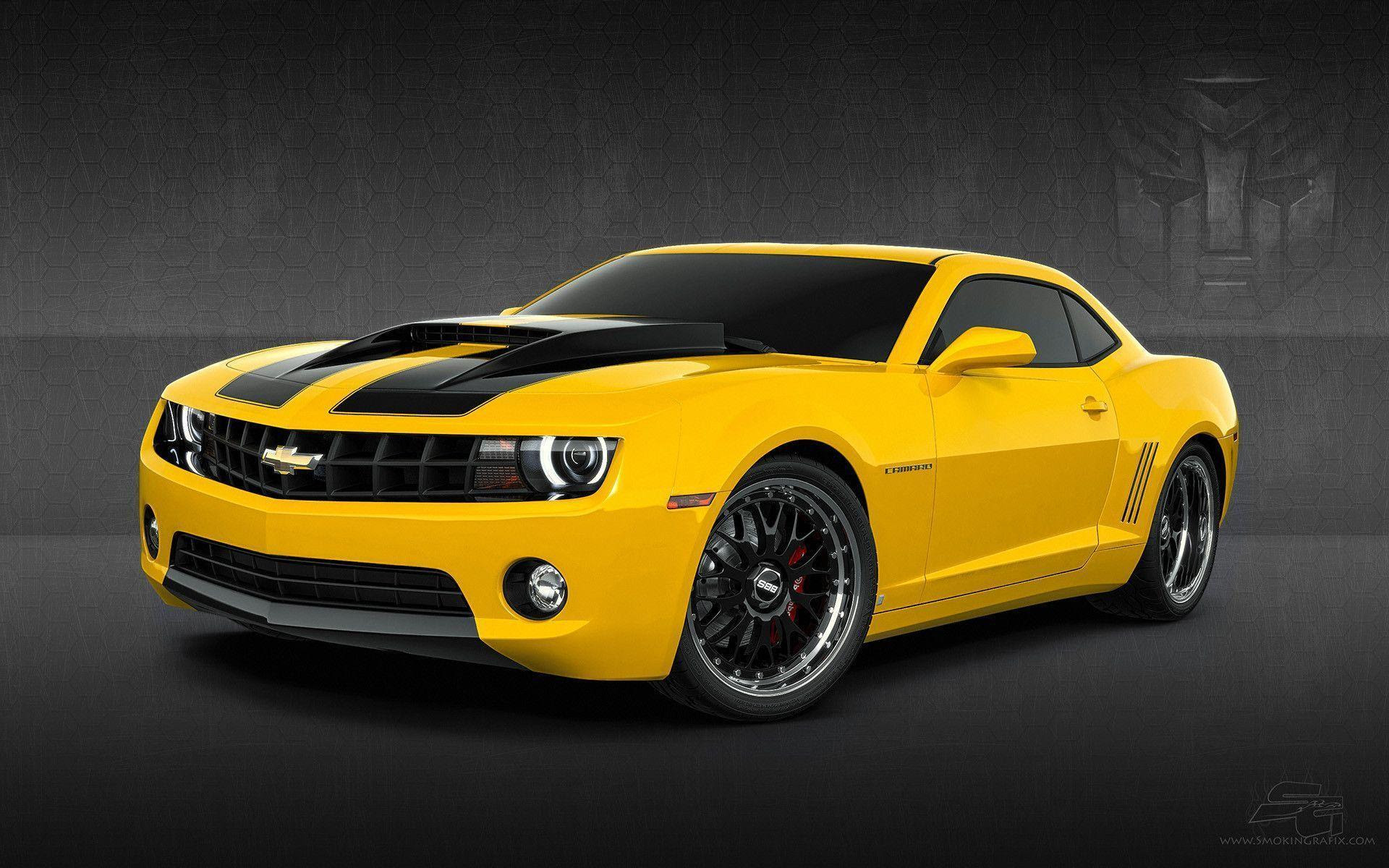Bumblebee 2015 Wallpapers HD Wallpaper Cave Bumblebee 2015 Wallpapers HD Wallpaper Cave