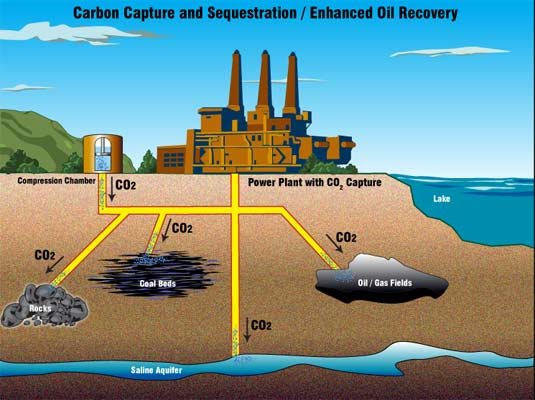 carbon capture dress