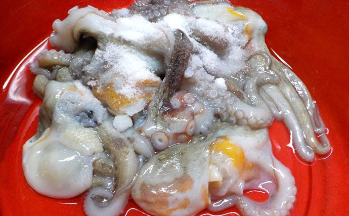 釣れたマダコの処理方法 おいしく食べるには下処理が大事 Tsurinews