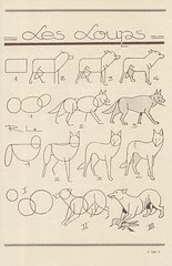 les animaux 50