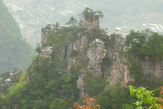 Wulingyuan Scenic Area: A View from Tianzi