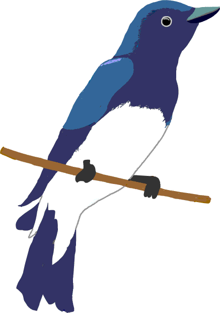 鳥 イラスト アイコン 無料 Bird Illustration