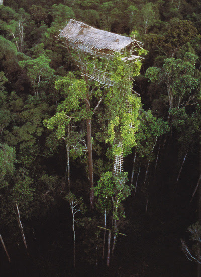 We want a cabin in the woods.