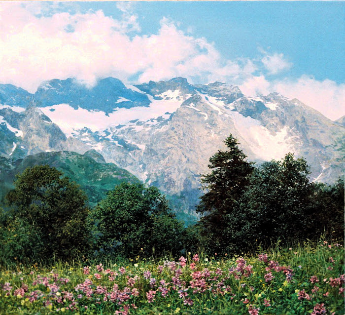 15 (700x638, 647Kb)