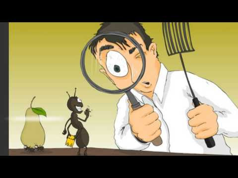 صورة