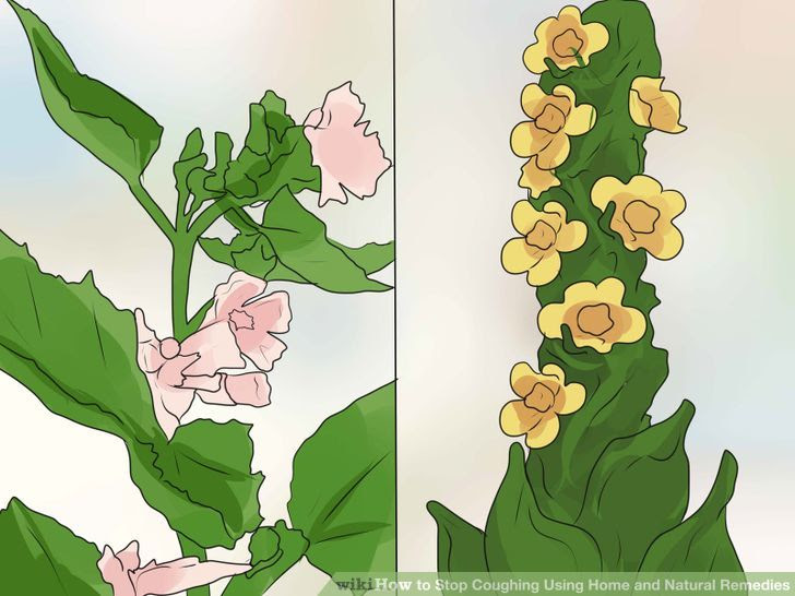 Stop Coughing Using Home and Natural Remedies Step 8.jpg