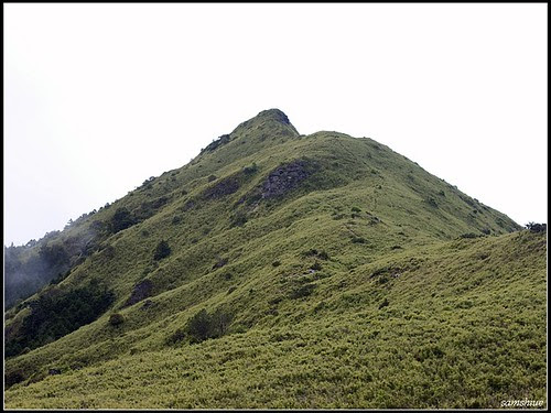DSC05820