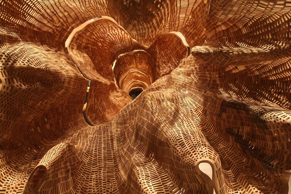 tree-1