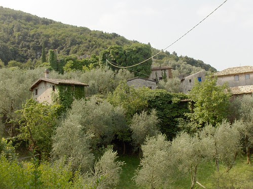 campo