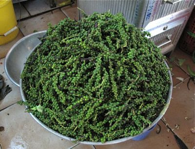 green1