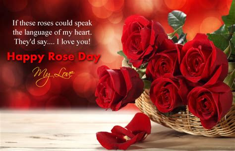 feb happy rose day images  hindi english gulab