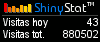 Medidor de visitantes
