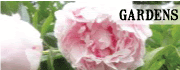  photo gardens_zps67bf4b20.gif