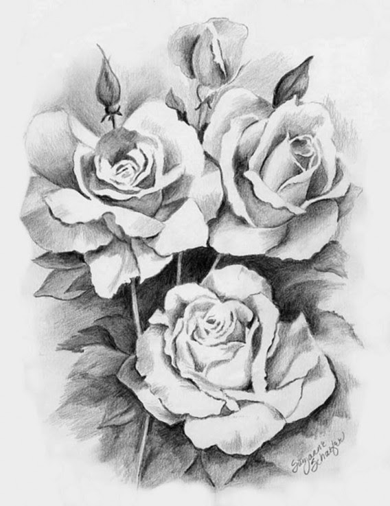 Awesome Rose Drawings - The Wondrous Pics