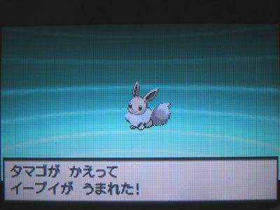 色違いイーブイ タマゴが孵ってgetだぜ 有栖のポケモン日記