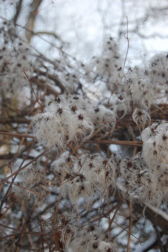 winter'10 105
