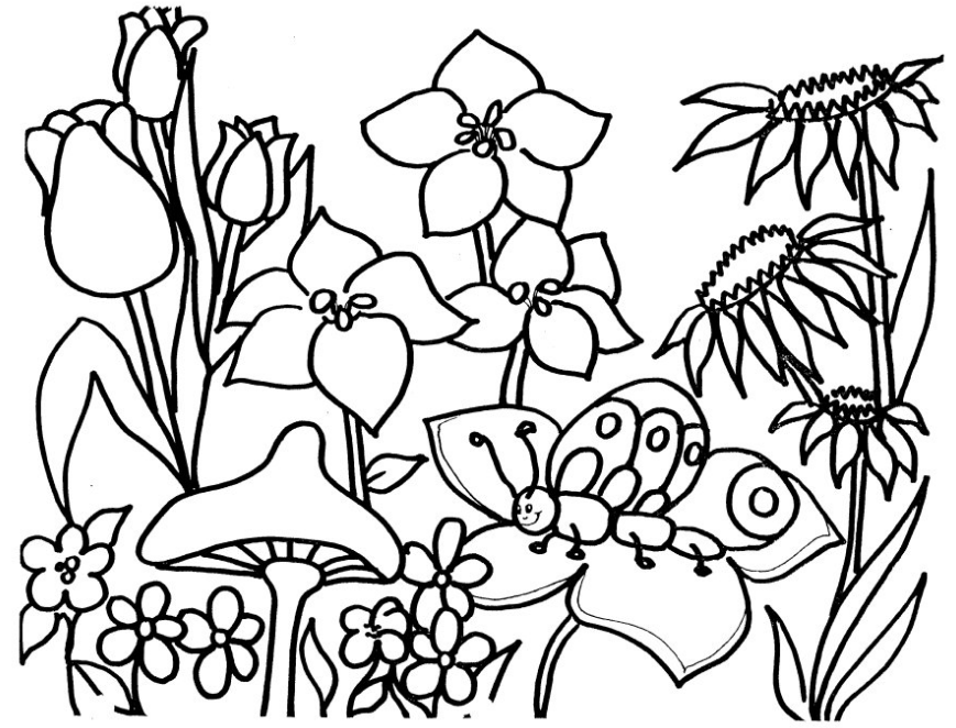 Download Flower Garden Coloring Page & Coloring Book