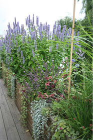 Btkrog i brand i centrala Stockholm SvD