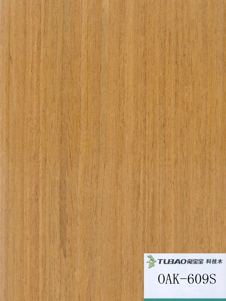  Wood Veneer PDF Plans 8x10x12x14x16x18x20x22x24 DIY Building Shed