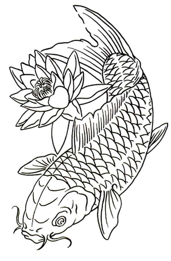 Kids-n-fun.com | Coloring page Koi Koi