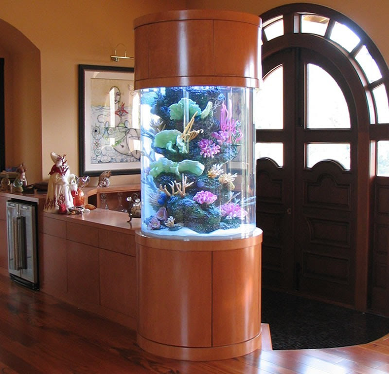 Cool Abstract Aquariums NayDanielleBlog Cool Abstract Aquariums NayDanielleBlog