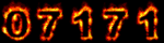 Web Site Visitor Counters