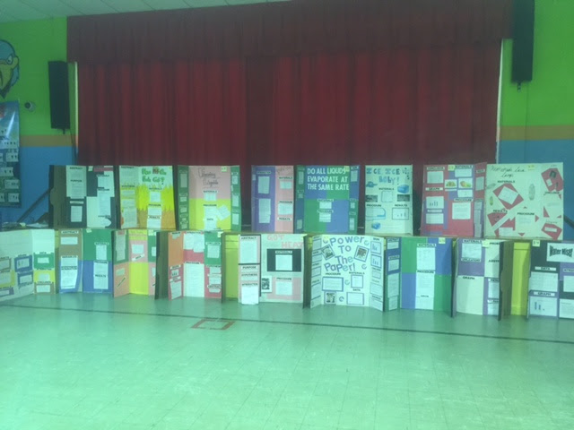 Science Fair Winner Info