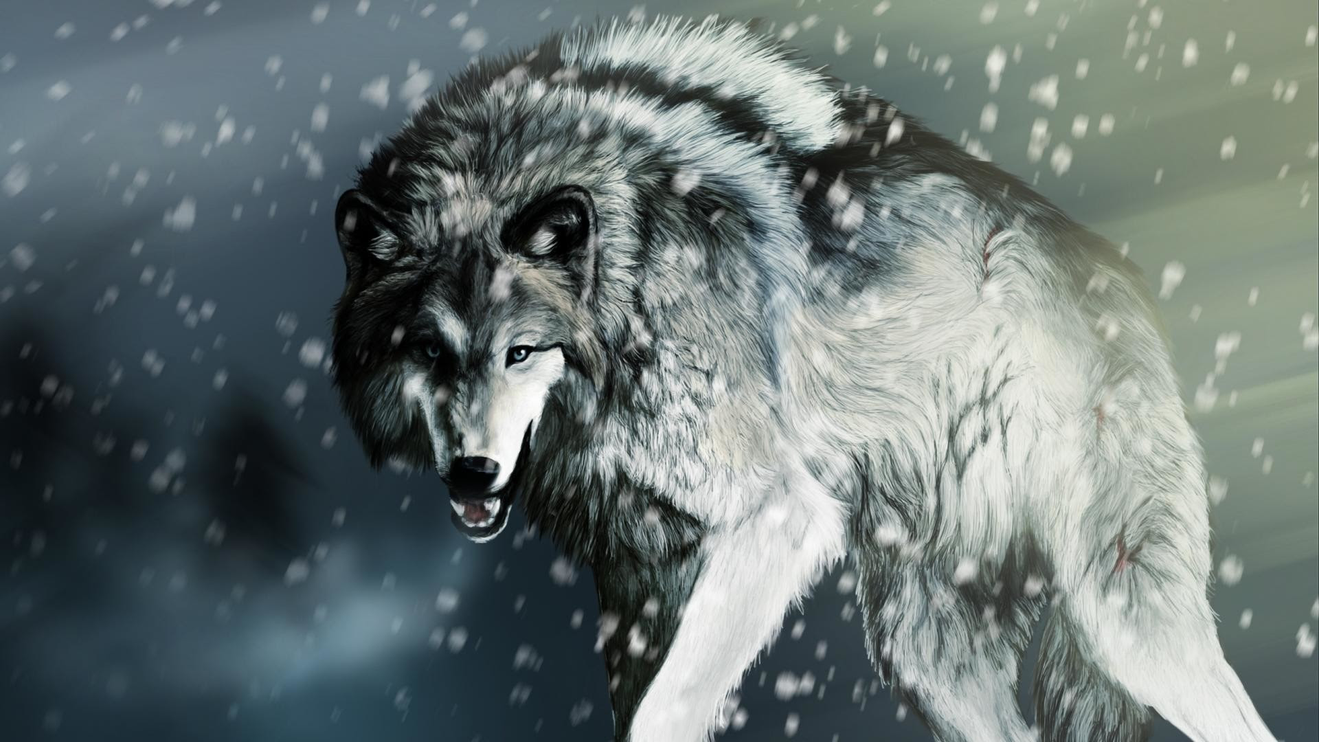 Cool Wolf Wallpaper 61 Images