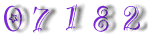 Website Traffic Counter